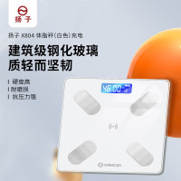 扬子(YAIR) X804 体脂秤(白色)充电