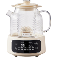 斗禾(DOUHE) DH-YS09LD 办公室小型煮茶器多功能电热烧水壶 1.2L养生壶茶滤+隔水炖款