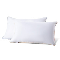 水星(MERCURY) DH春眠抗菌对枕48cm×74cm