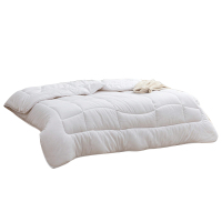 LOVO 甄·悦 暖姜黑科技丝柔抗菌春秋被 200×230(cm) VQS2021-1