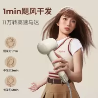 直白[国家补贴]复古高速电吹风机家用负离子护发低噪音速干吹风筒生日礼物女生甄选礼盒S1白色高配版