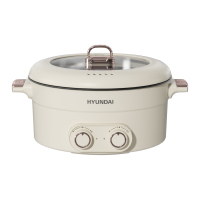 HYUNDAI 6L电火锅JZG-C603