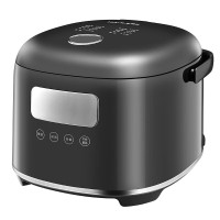 翰乐 HL500-30F19B 316不锈钢内胆电饭煲羽砂黑 3L