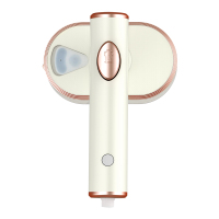 春花(CHUNHUA) 手持蒸汽 电熨斗CTQ-509Y 米色