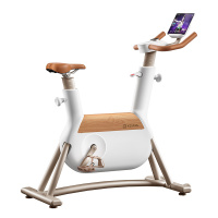 野小兽(YESOUL)小木马动感单车R6 白色