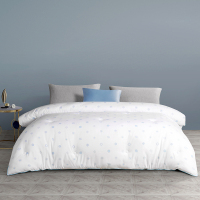 孚日家纺 舒芙蕾云朵绵绵春秋被FJ22305Q 150*215cm