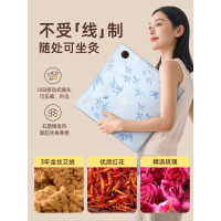 元气达人 石墨烯移动坐垫+充电宝一个一套YQ00382+YQ00402