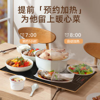 志高(CHIGO)暖菜板 热菜板保温板 加热菜板 加热桌垫 饭菜保温板长方形家用多功能餐桌热菜神器 QF02H