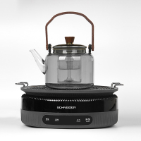 施耐德 围炉煮茶 SWK-XCT01 灰色 600mL(茶壶)