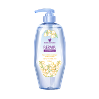莱清菲(HERBAEXPERTS) 莹润修复花香洗发水500ml