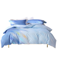 水星家纺 梦之流光- S04DZ(抗菌)547230 200cm*230cm