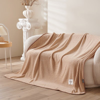 金丝莉(KINTHERI) 简约多功能盖毯 SD-250910 180*200cm