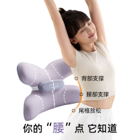 睡洞 芳恩家纺FAUNEN 舒享腰靠坐垫套装FN-R7036