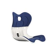 思菲其护腰靠垫人体工学靠背办公室学生椅子靠坐一体腰托腰椎靠背护腰垫 透气款-运动蓝ZD111