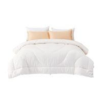 水星家纺 金小豆抗菌防螨大豆春秋被 541958-DH