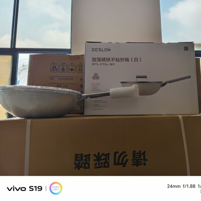 德世朗(DESLON)DFS-C954-WH 致简不粘炒锅(白)