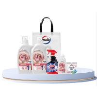 威露士 家庭清洁杀菌洁净套装 WJBJ01