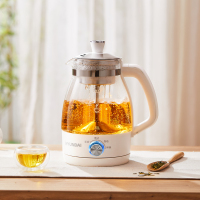 HYUNDAI韩国煮茶器 迷你养生壶一人蒸汽喷淋式煮茶壶白色[不锈钢滤网] 1L QC-ZC1017