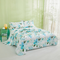 恒源祥HYX309BZ悦美A类抗菌柔软夏凉被200*230cm