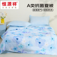 恒源祥HYX307BZ兰颜A类抗菌柔软夏凉被200*230cm