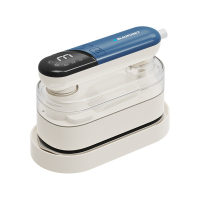 蓝宝手持挂烫机便携式小熨斗蒸汽旅行出差宿舍电熨斗 BP-8191D