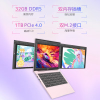宏碁(acer)非凡Go公主本泡泡玛特联名限量款 14英寸2.2K轻薄本 办公本笔记本电脑学生 (13代标压i7 32G 1T)粉