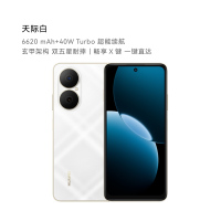 华为畅享80 6620mAh华为巨鲸电池 4G智能手机 天际白 8GB+256GB