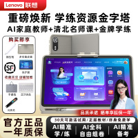 联想学习机LT40 AI护眼平板电脑小学初高中教材同步全科学练家教机早教机 豆包大模型