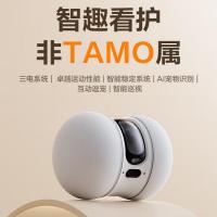 萤石(EZVIZ)TAMO全新看护摄像机