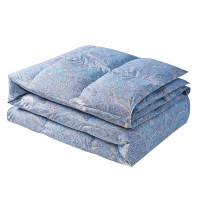 博洋家纺 被子被芯95%鹅绒被羽绒被抑菌保暖冬季防羽面料 沪 可水洗95白鹅绒四季被—亚斯 200*230