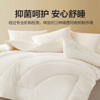 博洋家纺 大豆纤维被春秋被加厚冬被全棉被芯母婴A类抑菌双人四季通用 春秋被[母婴A类+全棉抑菌]云暖 200*230cm