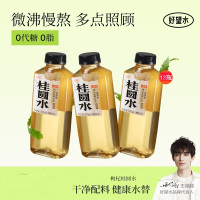 好望水 植物饮料 桂圆水500ml*12瓶