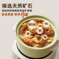 小熊(Bear)DSG-D30S1电砂锅 电炖锅 养生煮粥锅3-5人用煲仔饭分体式电砂锅