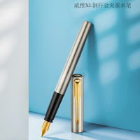 派克(PARKER)钢笔 威雅XL钢杆金夹墨水笔 签字笔