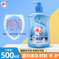 雕牌 500ml 海盐洗手液 海盐清香 呵护手部安全 有效深度清洁