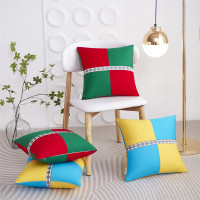 唐纳家纺 全棉抱枕 40*40CM TN-PB24018