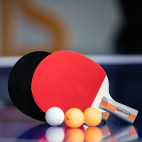 得力(deli)安格耐特FH208二星乒乓球拍 双面反胶单支装成品球