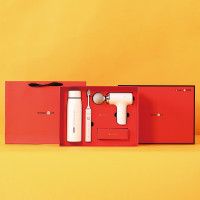 豹牌 按摩器套装 BP-T61 红色 保温杯 电动牙刷 筋膜枪组合