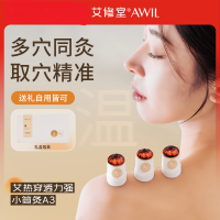 艾修堂AS-A3艾灸盒随身灸家用艾灸柱小筒悬灸罐仪器艾条艾柱