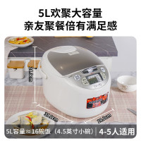 虎牌(TIGER) 智能家用电饭煲 带蒸格多功能电饭煲 家用预约 2-6人 5L JAX-B18C