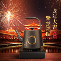 金灶(KAMJOVE) 0.8L全自动手把上水电茶炉热水壶泡茶壶家用316不锈钢开水壶T7[玉龙星辰茶艺炉-单炉]