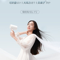 苏泊尔(SUPOR)电吹风机家用负离子大功率不伤发高速吹风速干吹风筒冷热快调低噪便携 HDL-F2