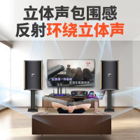 夏新(Amoi)家庭影院KTV音响套装 点歌机功放音箱全套家用电视K歌客厅会议室唱歌机专业低音炮卡拉OK 12吋点歌机套