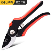 得力(deli)省力果树剪刀修枝剪枝剪园艺剪刀粗枝花卉园林工具修剪树枝剪8英寸修枝剪DL580221