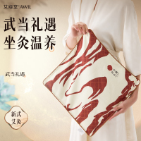 艾修堂 艾灸坐垫加热敷垫久坐品国风坐灸蒲团热敷坐垫 AP-CC1proW1