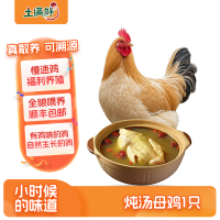 土满鲜皖南炖汤母鸡生鲜禽类 整只冷冻 净含量0.9kg(1只)源头直发