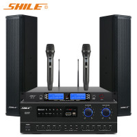 狮乐(SHILE)AV-108+BX-406+SH-28 专业小型会议室音响套装 壁挂音箱功放无线麦克风话筒组合