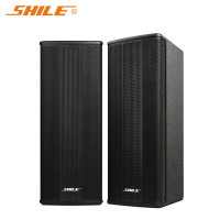 狮乐 (SHILE)BX-404高档会议音箱一对装 壁挂线性音柱背景音乐多功能厅无源音响4.5英寸