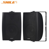 狮乐(SHILE)BX105会议音箱一对装黑色款 壁挂式教学音响 店铺背景音乐音响 黑色6.5英寸专业音箱