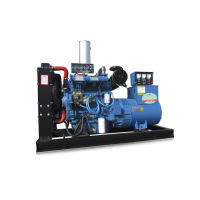 发电机 东明/DONMIN WP12ZLD 电动 800 4000